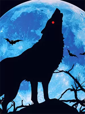 不管你是谁 大家都在看