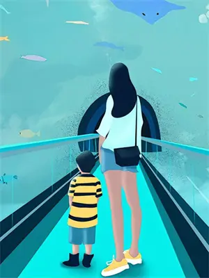 星途撞球汇环境